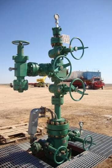 Wellhead & Christmas Tree