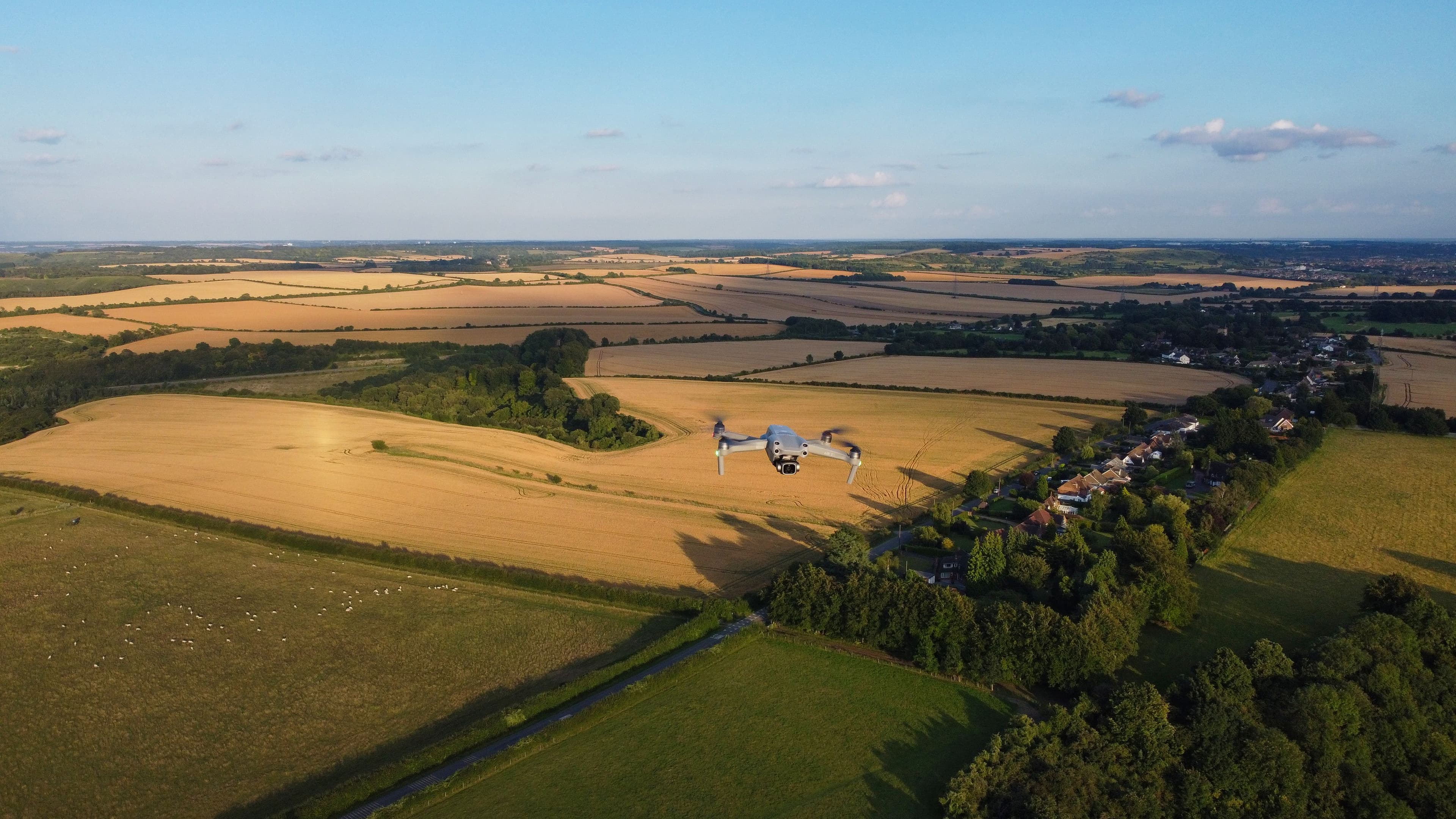 Agriculture & Rural