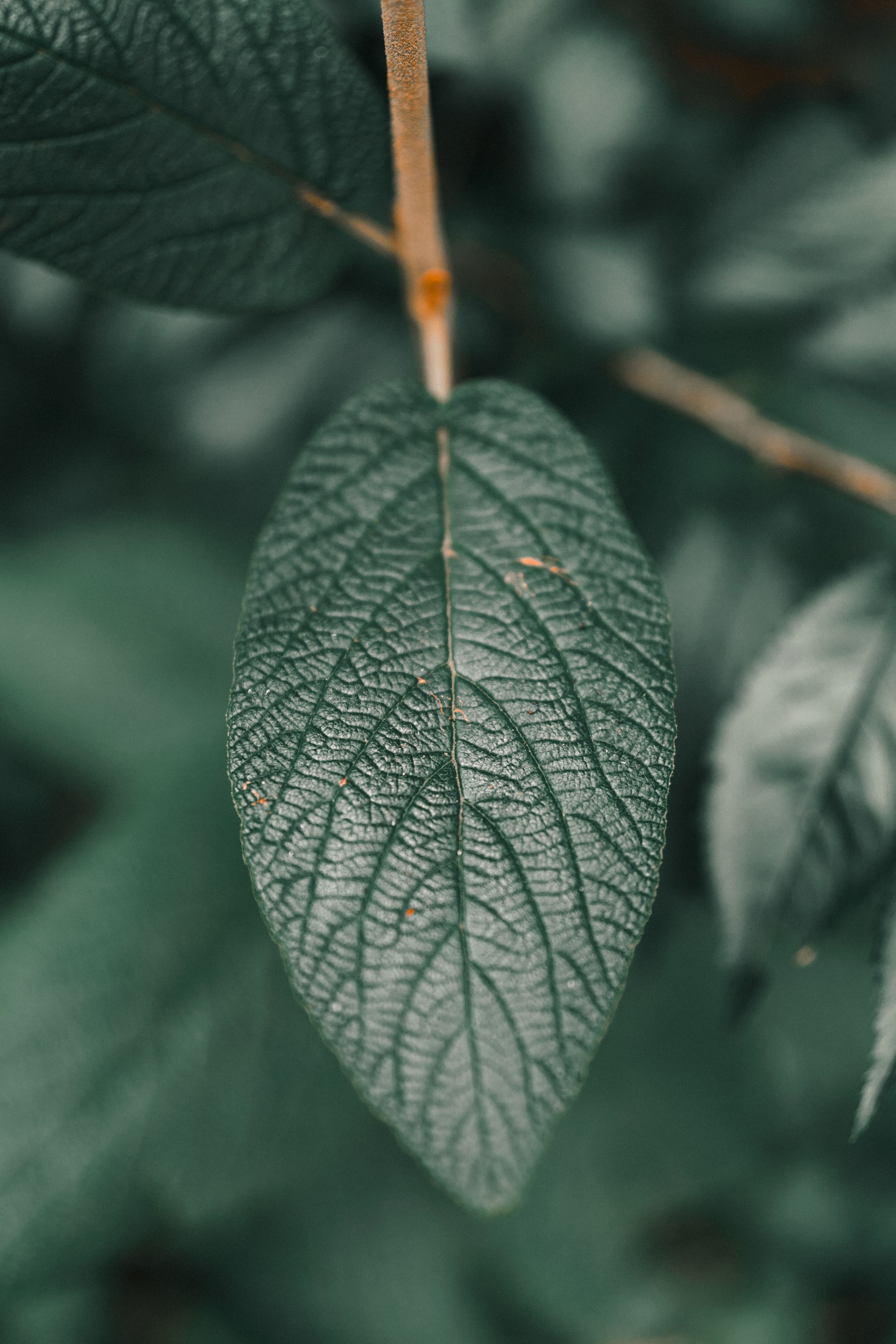 GLOPRO environmental commitment — image 1