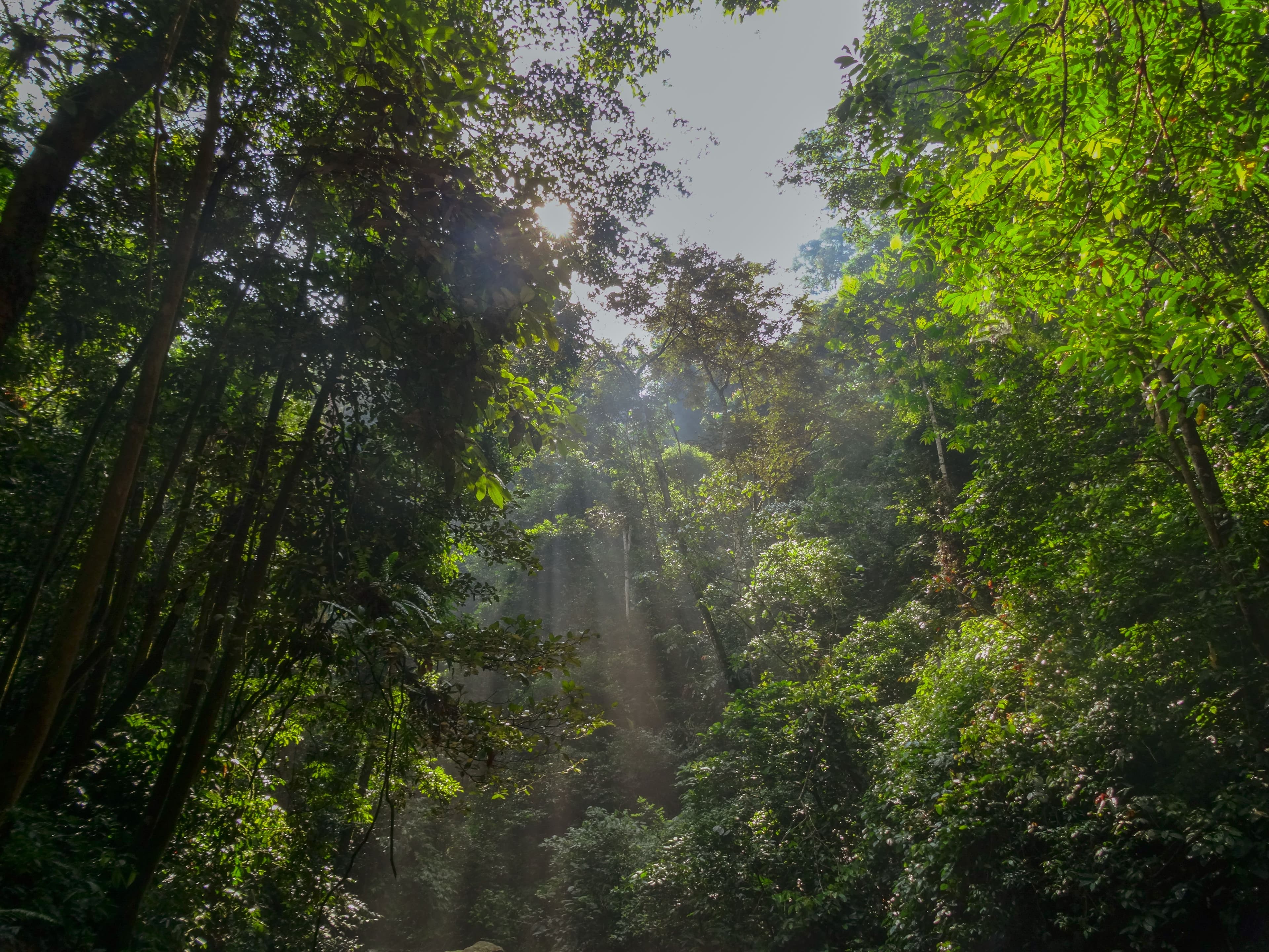 GLOPRO environmental commitment — image 3